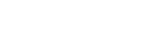 INA99 Logo